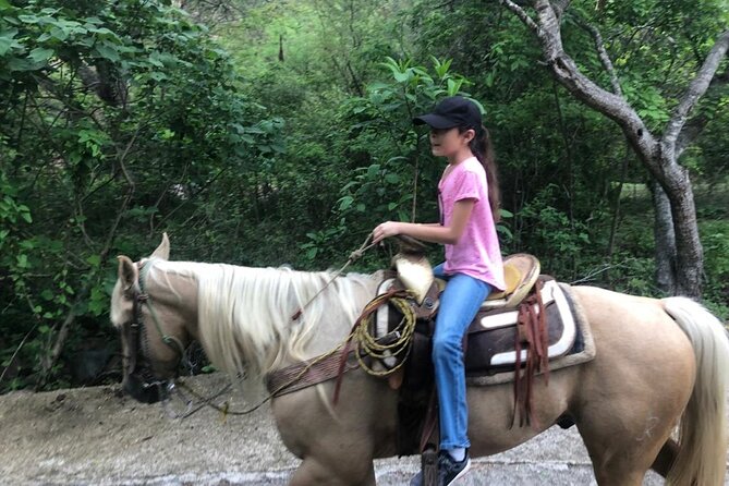 Horseback Riding Experience in Sierra Madre Mountains - Sierra Madre Jungle-to-Beach Views From the Saddle