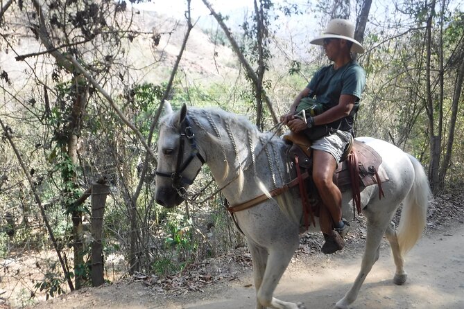 Horseback Riding Experience in Sierra Madre Mountains - Tequila Tasting After the Big View