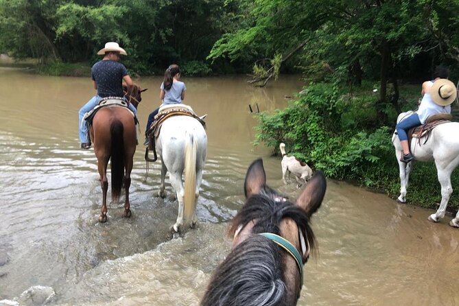 Horseback Riding Experience in Sierra Madre Mountains - The 4-Hour Flow: Pickup, Ride Time, and Back Again