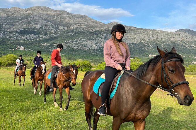 Horseback Riding Experience with transport from Dubrovnik - Key highlights you’ll care about