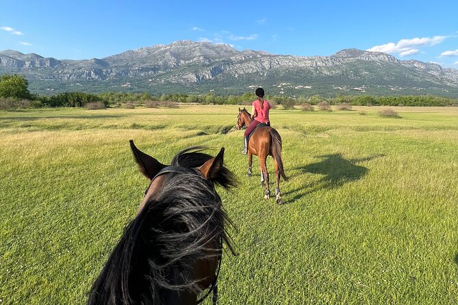 Horseback Riding Experience with transport from Dubrovnik - Dubrovnik pick-up to Konavle trails: how the day flows