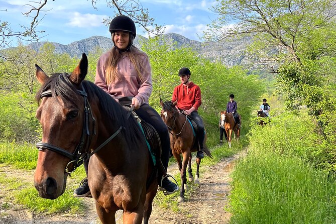 Horseback Riding Experience with transport from Dubrovnik - Mali Raj ranch time: animals, training, and a calm setup