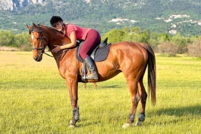 Horseback Riding Experience with transport from Dubrovnik - Entering the ride: fields, forests, and Snježnica in about one hour