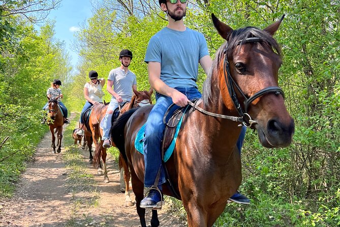 Horseback Riding Experience with transport from Dubrovnik - Price and value for a Dubrovnik-to-Konavle horseback ride