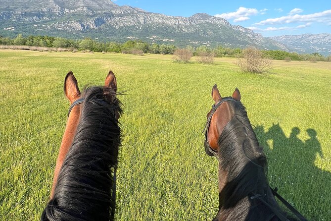 Horseback Riding Experience with transport from Dubrovnik - Who should book, and who should consider other options