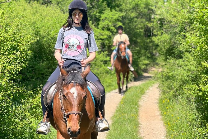 Horseback Riding Experience with transport from Dubrovnik - Practical tips for your best ride (without making it complicated)