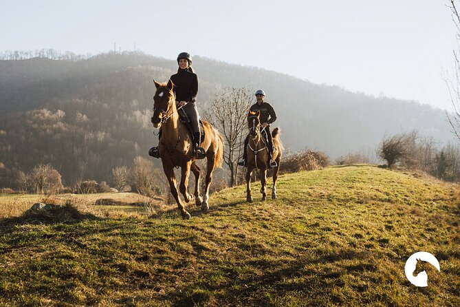 Horseback riding for experts between the lake and the mountains - Key Takeaways Before You Saddle Up