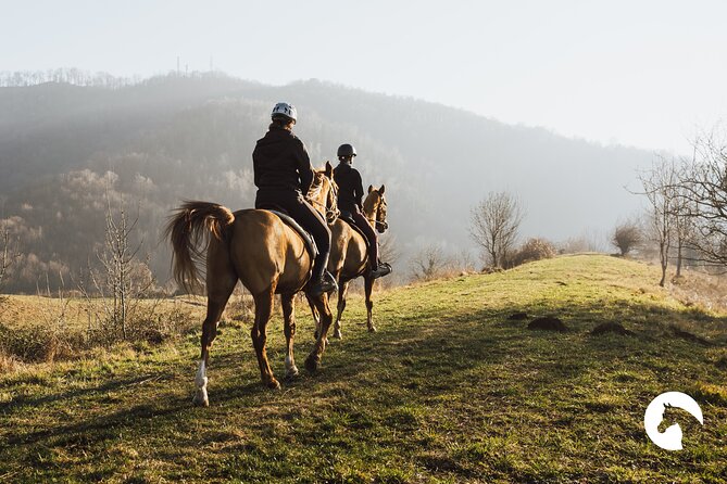 Horseback riding for experts between the lake and the mountains - What Happens on the Trail: Briefing, 2 Hours of Riding, Then the Farmhouse Break