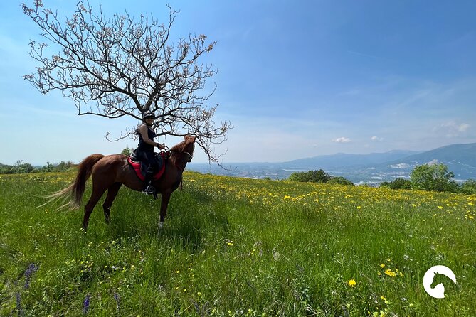 Horseback riding for experts between the lake and the mountains - Stop 2: Lago di Annone and the Mountain-to-Water Contrast