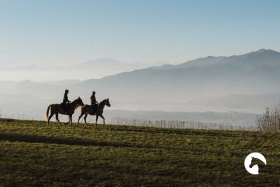 Horseback riding for experts between the lake and the mountains - Stop 1: Lake Como Views From the Horse’s Eye Level