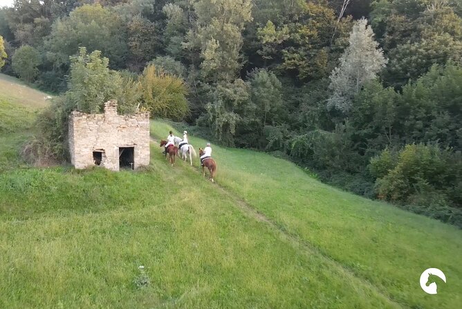 Horseback riding for experts between the lake and the mountains - Who This Tour Fits Best (And Who Should Think Twice)