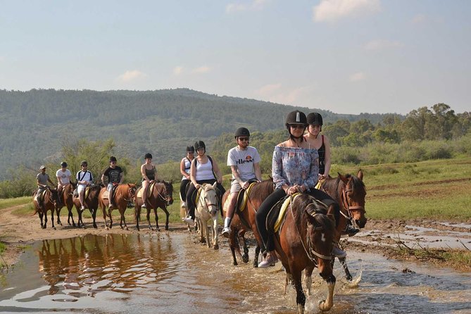 Horseback Riding From Kusadasi Port For Cruise Guests - Who this horseback safari is best for