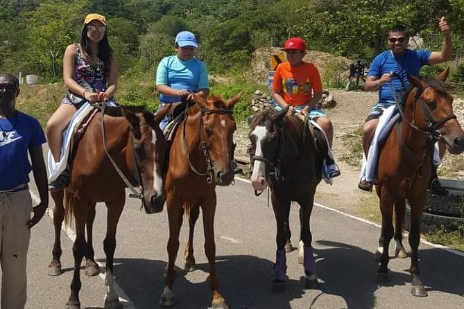 Horseback Riding from Montego Bay - Riding Time: What You’ll Likely Get, and What to Ask