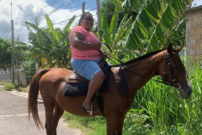 Horseback Riding from Montego Bay - Price and Value: Is $200 Worth It?