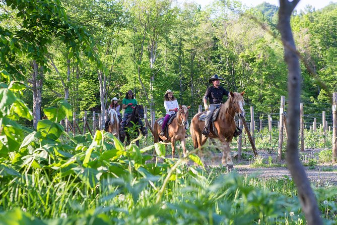Horseback-Riding in a Country Side in Sapporo - Private Transfer is Included - Mustang Town: where the lesson starts (and why it matters)
