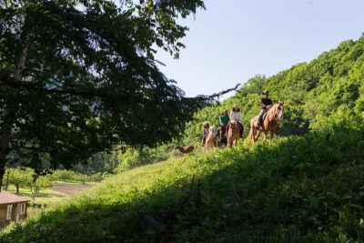 Horseback-Riding in a Country Side in Sapporo - Private Transfer is Included - The taxi transfer from your hotel: a real time-saver in Sapporo