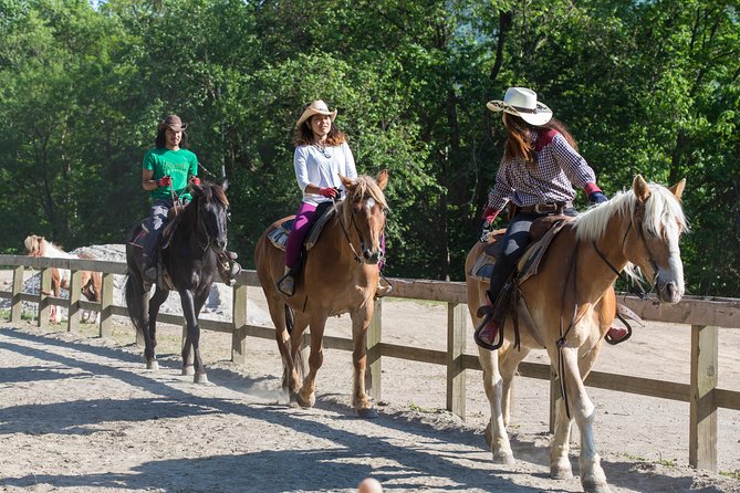 Horseback-Riding in a Country Side in Sapporo - Private Transfer is Included - Price and value: what $187.11 per person buys you