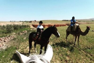 Horseback Riding in a special agafay desert - The horseback part: pairing, pacing, and what you should expect