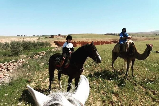 Horseback Riding in a special agafay desert - The horseback part: pairing, pacing, and what you should expect