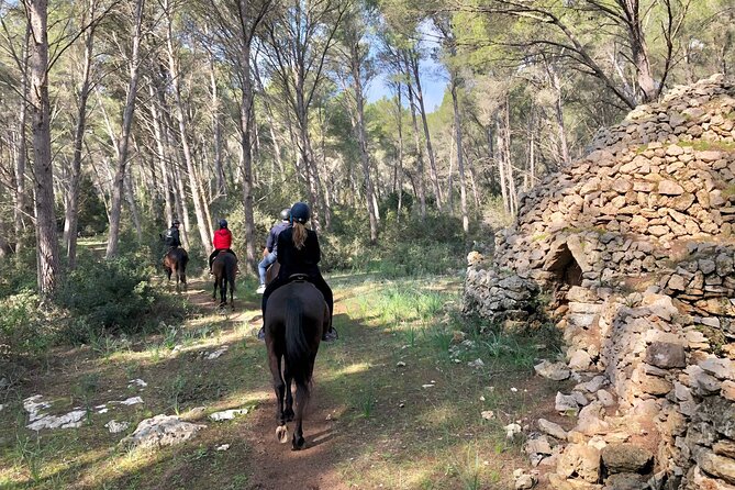 Horseback Riding in Cala Mitjana, Menorca, Spain - Your Ride Basics: Helmets, Horse Selection, and Safety First