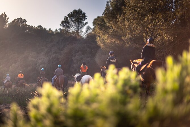 Horseback Riding in Cala Mitjana, Menorca, Spain - Views, Photos, and the Kind of Beach Moment You’ll Remember