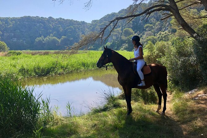 Horseback Riding in Cala Mitjana, Menorca, Spain - Price and Value: What You Really Get for $114.84