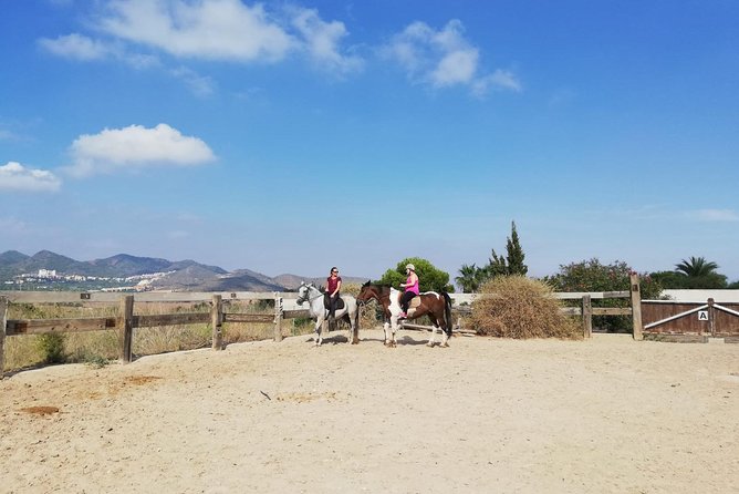 Horseback Riding in Cartagena (Spain) - If you already ride: you’ll go straight to the guided trails