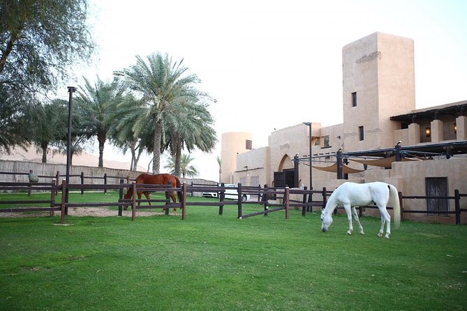 Horseback Riding in Dubai Desert with Transfers - Key Things I’d Actually Notice