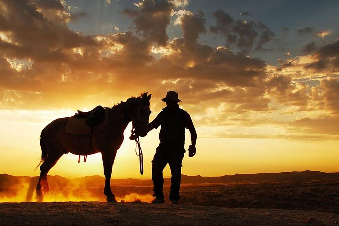 Horseback Riding in Dubai Desert with Transfers - The 60-Minute Desert Ride: Golden Sands, Red Dunes, Real Space