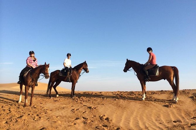 Horseback Riding in Dubai Desert with Transfers - Price Value: Does $170 Make Sense For A 3-Hour Desert Ride?