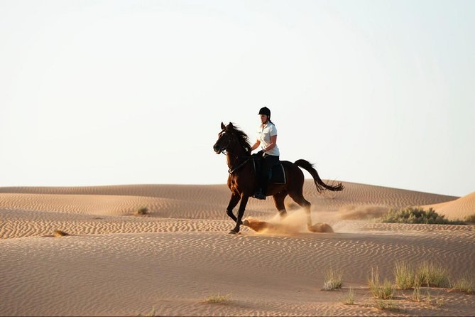 Horseback Riding in Dubai Desert with Transfers - Stable Meet-And-Greet: Matching You To The Right Horse