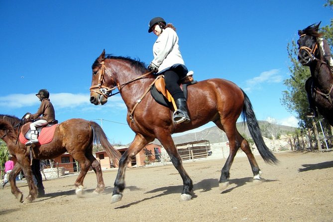 Horseback Riding in Fuerteventura for 1 or 2 hours, Spain - Where You Ride: Crines del Viento in Triquivijate