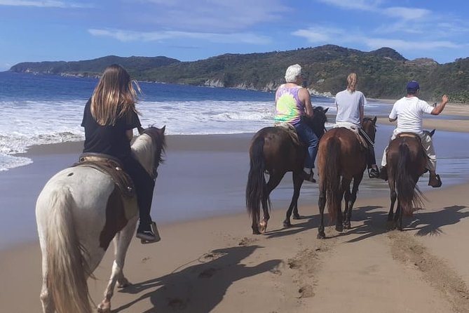 Horseback Riding in Ixtapa with Hotel Pickup - A Beach Ride in Ixtapa Without the Whole-Day Commitment