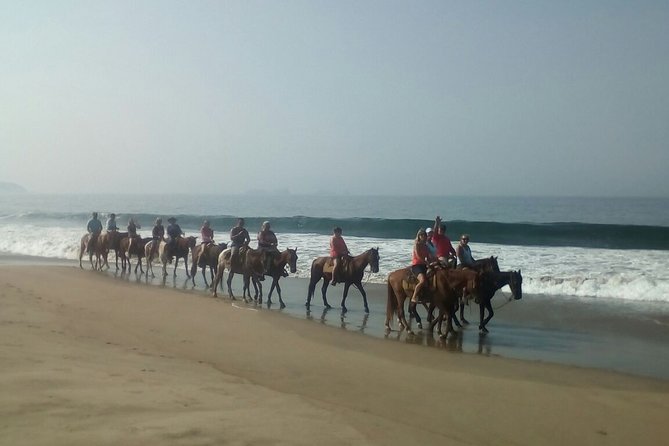 Horseback Riding in Ixtapa with Hotel Pickup - Along the Shoreline: The Best Part for Views and Photos