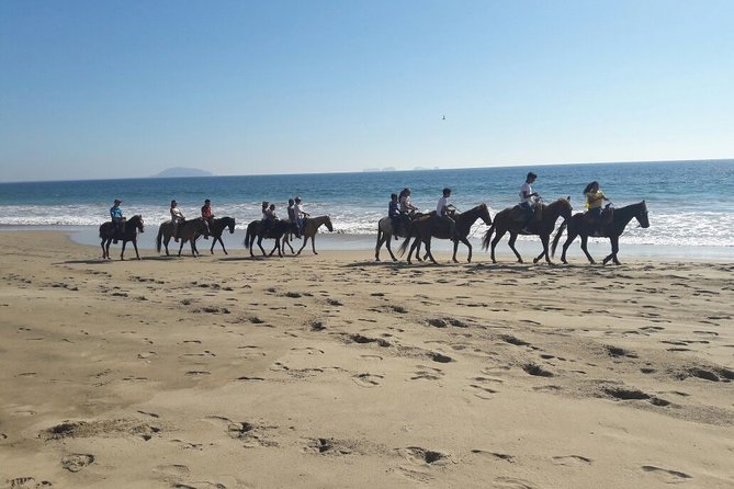 Horseback Riding in Ixtapa with Hotel Pickup - Timing and Pace: How a 1 Hour 10 Minute Ride Fits Your Day