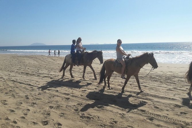 Horseback Riding in Ixtapa with Hotel Pickup - What’s Included vs. What You’ll Want to Pack