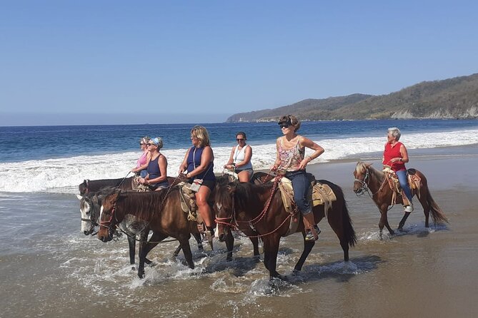 Horseback Riding in Ixtapa with Hotel Pickup - Hotel Pickup From Your Condo or House (and Why It Matters)