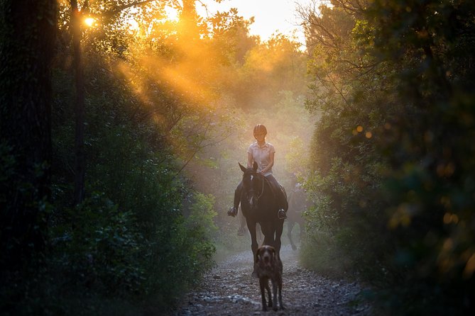 Horseback Riding in Konavle Region with Transport from Dubrovnik - Key things to know before you go