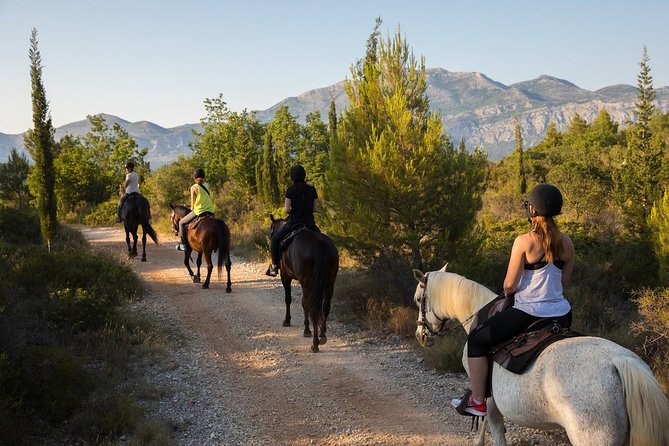Horseback Riding in Konavle Region with Transport from Dubrovnik - Konavle on horseback: the kind of outing that feels like a break