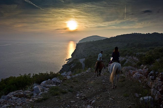Horseback Riding in Konavle Region with Transport from Dubrovnik - The two-hour ride: forest paths, Konavle coastline, and Popovići remains