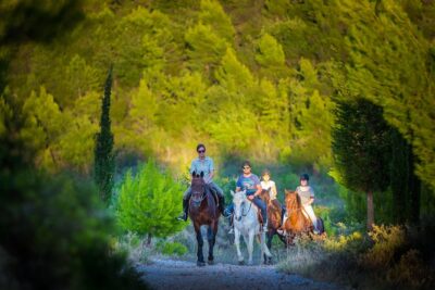 Horseback Riding in Konavle Region with Transport from Dubrovnik - At Kojan Koral: helmets, horse matching, and a safety-first intro