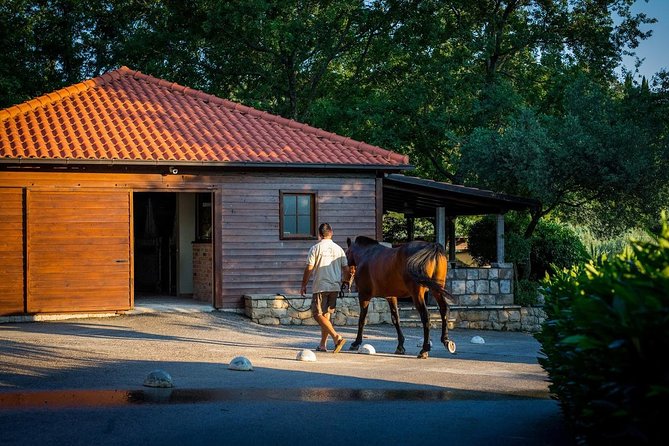 Horseback Riding in Konavle Region with Transport from Dubrovnik - The snack-and-wine finish: relaxed, romantic, and actually welcoming