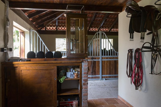 Horseback Riding in Konavle Region with Transport from Dubrovnik - What makes this tour great for both beginners and experienced riders