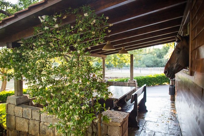 Horseback Riding in Konavle Region with Transport from Dubrovnik - A few realistic drawbacks to plan for