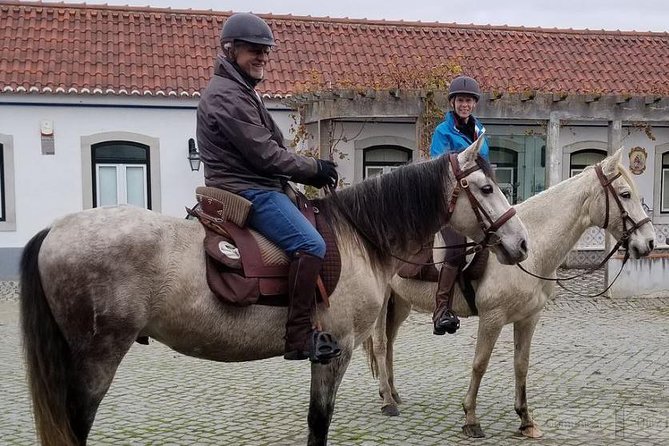 Horseback Riding In Lisbon - Arrábida - Louro Trail Mountain 5 - 6 Hours - Lunch at Quinta de Alcube: local wine and a light charcuterie board