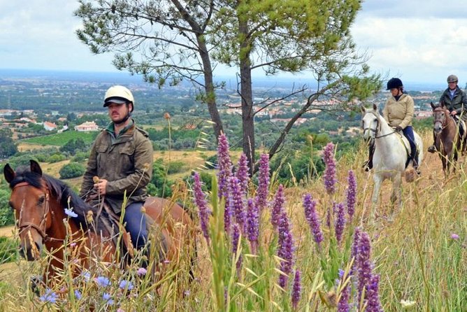 Horseback Riding In Lisbon - Arrábida - Louro Trail Mountain 5 - 6 Hours - Horses and guides: trained mounts make or break the day