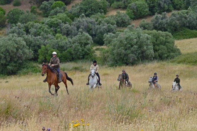 Horseback Riding In Lisbon - Arrábida - Louro Trail Mountain 5 - 6 Hours - How demanding is this ride, really?