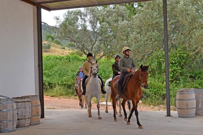 Horseback Riding In Lisbon - Arrábida - Louro Trail Mountain 5 - 6 Hours - Who this horseback ride suits best