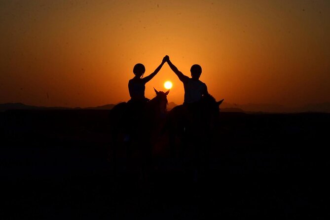 Horseback riding in Marsa Alam and Port Ghalib - From Stable to Red Sea: What the 4-Hour Ride Is Really Like