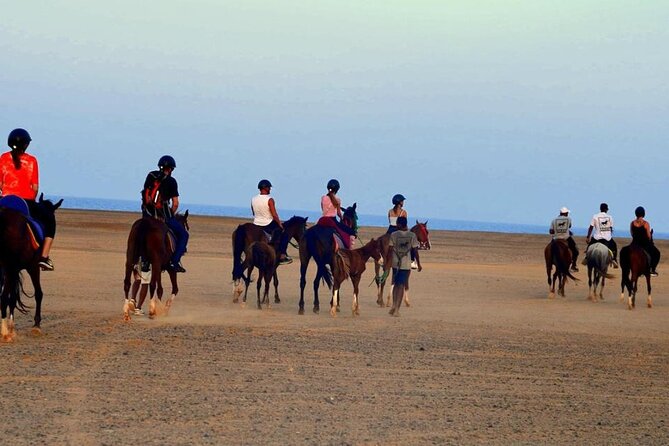 Horseback riding in Marsa Alam and Port Ghalib - Stable Time Is the Secret Sauce (Not Just Waiting Around)
